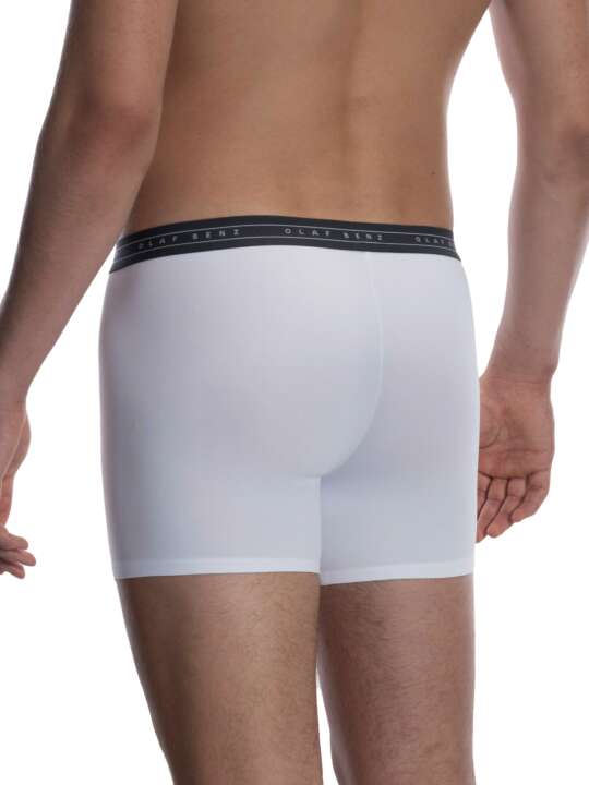 108730O Boxer RED2059 Olaf Benz White face