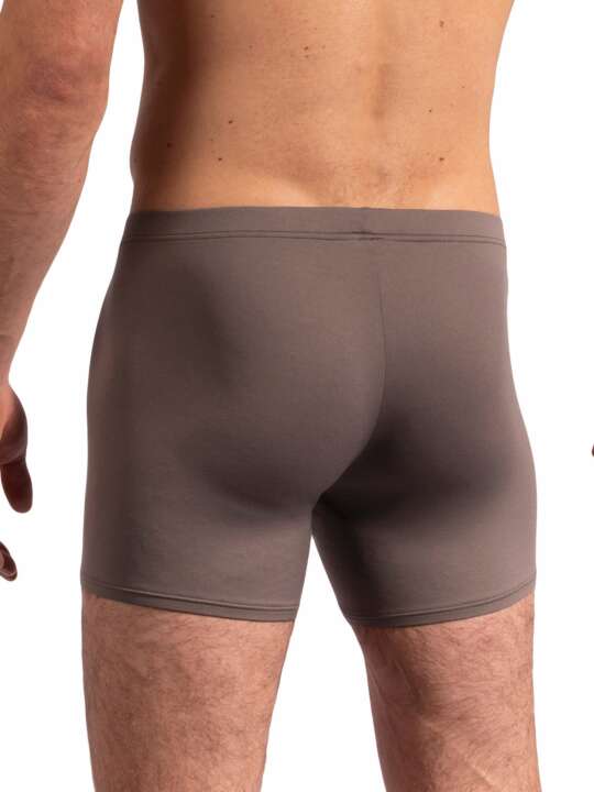 109100O Boxer RED2209 Olaf Benz Brown face