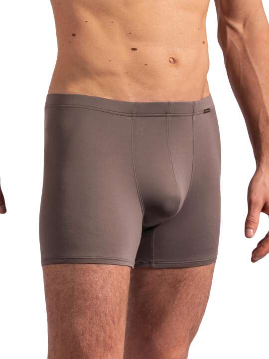 109100O Boxer RED2209 Olaf Benz Brown face