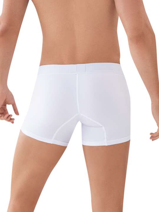 0880CL0 Boxer Classic Match Clever White face