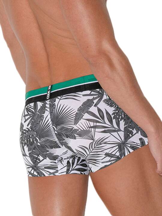 2092COD Boxer Palm Tree Code22 Grey face
