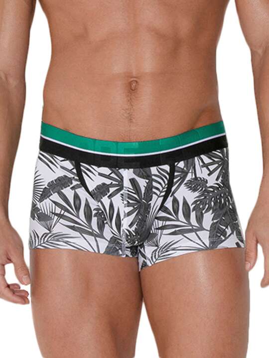 2092COD Boxer Palm Tree Code22 Grey face