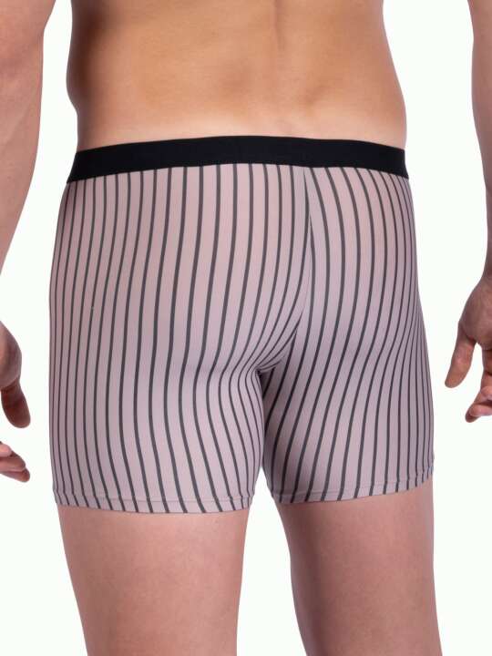 109250O Boxer RED2303 Olaf Benz Brown face