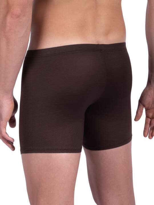 105838O Boxer RED1201 Olaf Benz Brown face