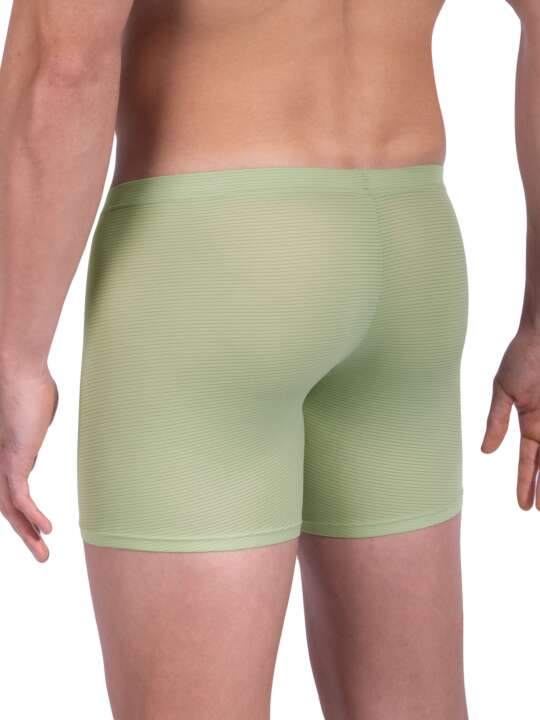 105838O Boxer RED1201 Olaf Benz Green face