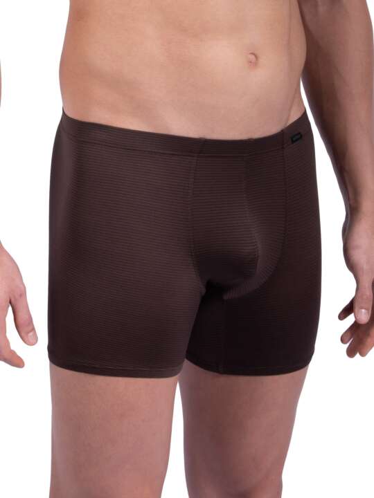 105838O Boxer RED1201 Olaf Benz Brown face
