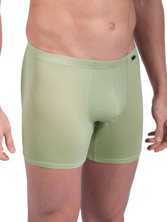 105838O Boxer RED1201 Olaf Benz Green face