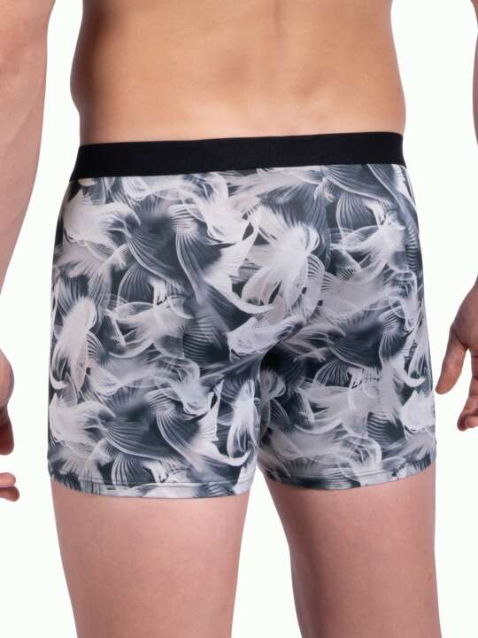 109300O Boxer RED2310 Olaf Benz Grey face