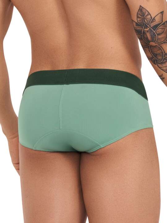 1234CL0 Classic briefs Grace Clever Green face