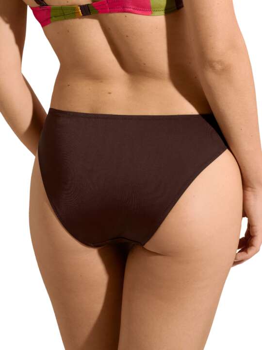 41676LI Bas maillot slip de bain Viviero Lisca Marron face