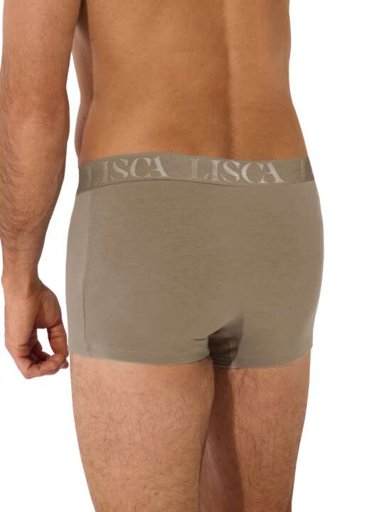 32039LI Boxer Odysseus Lisca Men Marron face
