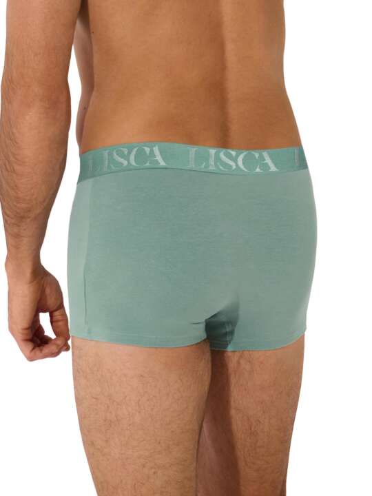32039LI Boxer Odysseus Lisca Men Vert face