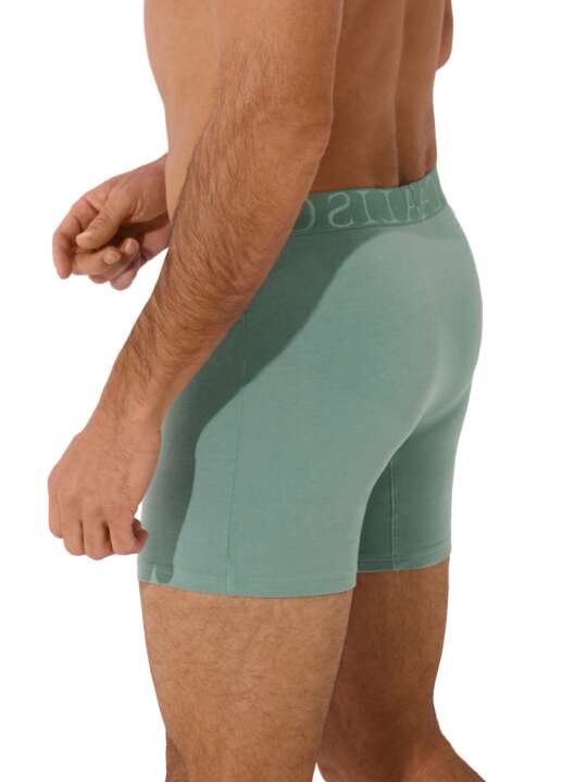 32040LI Boxer long Odysseus Lisca Men Vert face
