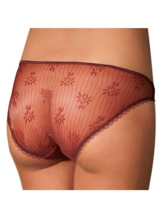 8502SEL Lace briefs Firenze Selmark Brown face